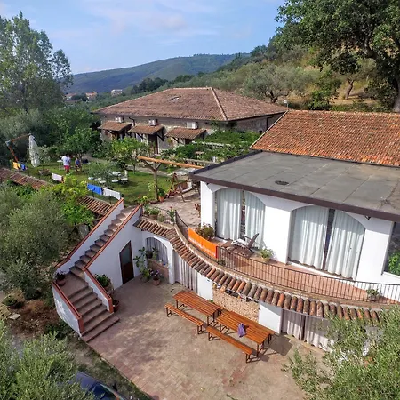 La Gabbianella E Il Gatto 卡斯特拉巴特