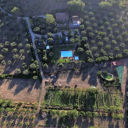 La Gabbianella E Il Gatto 农家乐