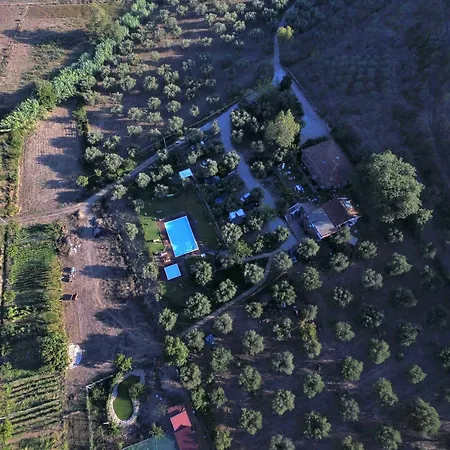 La Gabbianella E Il Gatto 卡斯特拉巴特