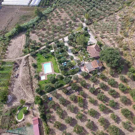 农家乐 La Gabbianella E Il Gatto *