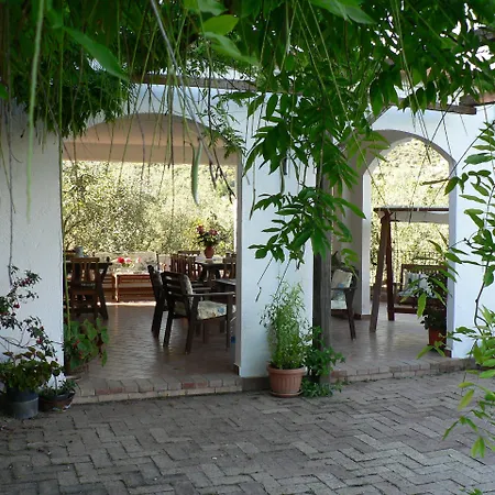 La Gabbianella E Il Gatto *