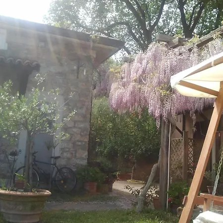 农家乐 La Gabbianella E Il Gatto