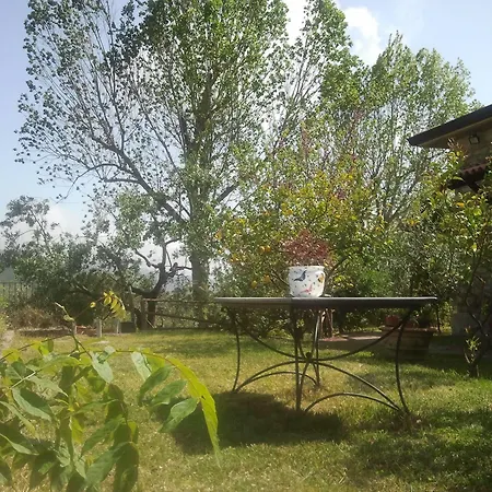 La Gabbianella E Il Gatto 卡斯特拉巴特