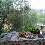 La Gabbianella E Il Gatto مزرعة للإقامة