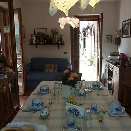 La Gabbianella E Il Gatto Castellabate