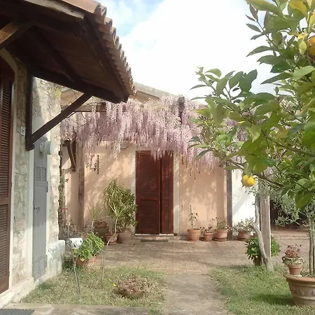 La Gabbianella E Il Gatto Castellabate