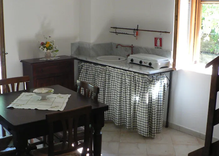 Farma La Gabbianella E Il Gatto