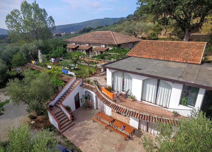 La Gabbianella E Il Gatto Castellabate