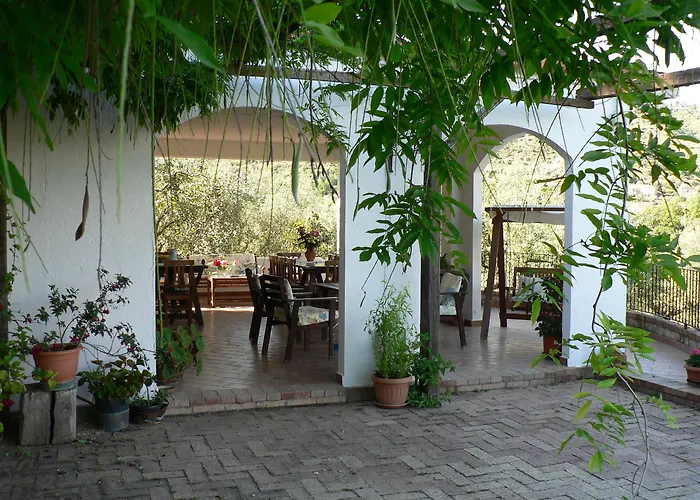 La Gabbianella E Il Gatto *