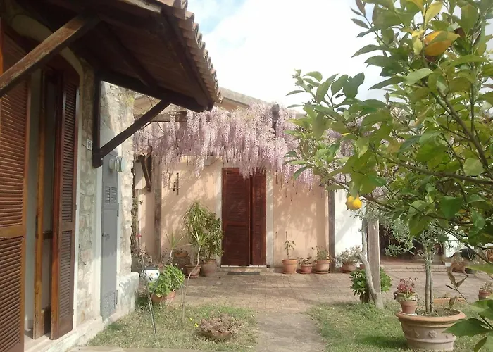 La Gabbianella E Il Gatto