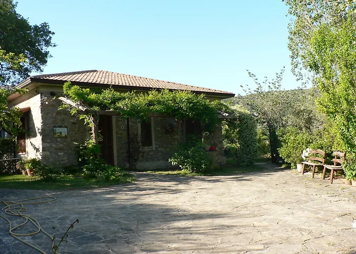 La Gabbianella E Il Gatto * Castellabate