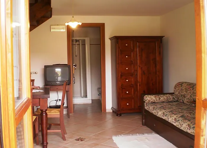 La Gabbianella E Il Gatto Farma