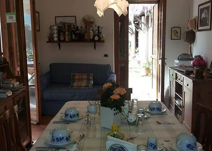 La Gabbianella E Il Gatto Castellabate